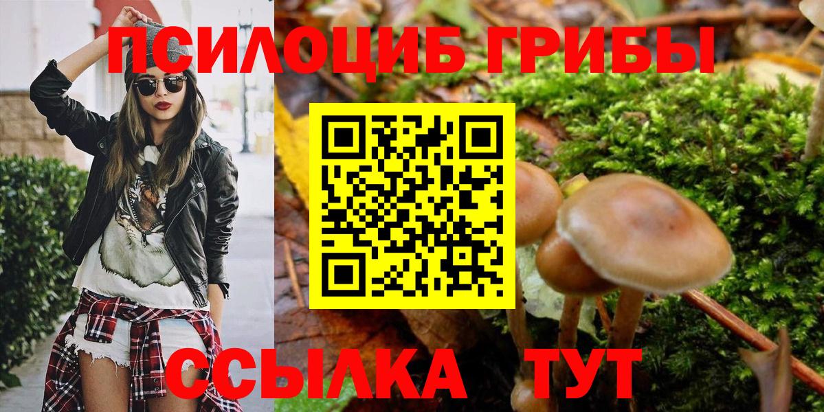 Владивосток  Галлюциногенные грибы Magic Shrooms  Вход с VPN 